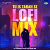 About Tu Is Tarah Se - Lofi Mix Song