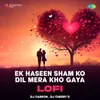 Ek Haseen Sham Ko Dil Mera Kho Gaya - Lofi