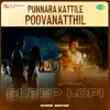 About Punnara Kattile Poovanatthil - Sleep Lofi Song