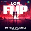 About Tu Mile Dil Khile - LoFi Flip Song