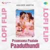 About Praanaana Paatale Paaduthundi - Lofi Flip Song