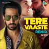 About Tere Vaaste - DJ Nyk Remix Song