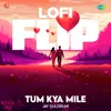 About Tum Kya Mile - LoFi Flip Song