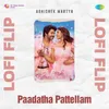 About Paadatha Pattellam - Lofi Flip Song