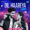 Dil Haareya - LoFi