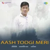 About Aash Todgi Meri Song