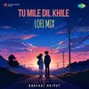 Tu Mile Dil Khile - LoFi Mix