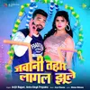 About Jawani Tahar Lagal Jhule Song