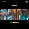 About Tum Kya Mile - Chillout Flip Song