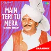 About Main Teri Tu Mera Dark Trap - SarabMix Song