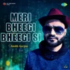 About Meri Bheegi Bheegi Si Song