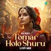 About Tomar Holo Shuru - Lofi Mix Song