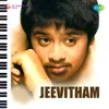 Jaathulu Levuru