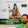 Nagendra Haaraya