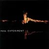 Experiment (Album Version)