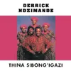 Thina Sibong' Igazi