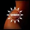 Sexual Healing (SNBRN Remix)