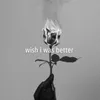 About Wish I Was Better Song