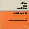 About Wild World (The Quarantine Sessions) Song