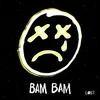 About Bam Bam Song