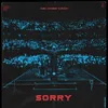 Sorry (Albert Vishi Remix)