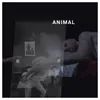 Animal Radio Version