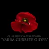 About Yarim Gurbete Gider Song