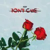 About Don't Care Song