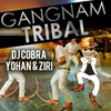 About Gangnam Tribal Song