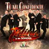 About Tú Mi Confidente Song