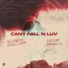 About Can't Fall N Luv Song