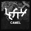 About Camel Song