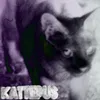 About Kattepus Song