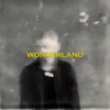 About Wonderland Song