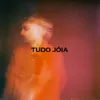 About Tudo Jóia Song