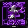About What Is Love (VINAI Remix) Song