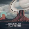 About Still In The Storm Song