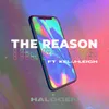 The Reason