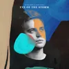 About Eye Of The Storm Song