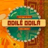 About Odilê Odilá Song