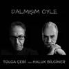 About Dalmışım Öyle Song