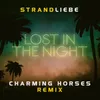 Lost In The Night Remix