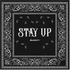 About Stay Up Song