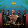 Wayisus'uzoyimela (Album Version)