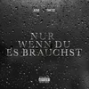 About NUR WENN DU ES BRAUCHST Song