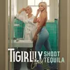 About Shoot Tequila Song