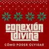 About Cómo Poder Olvidar Song