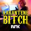 About Karantenebitch Song