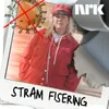 Stram fisering