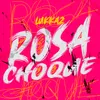 About Rosa Choque Song